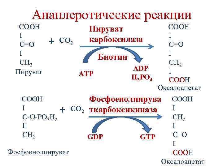 Анаплеротические реакции + COOH I C-O-PO 3 H 2 II CH 2 CO 2