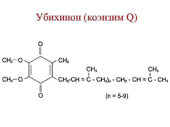 Убихинон (коэнзим Q) 