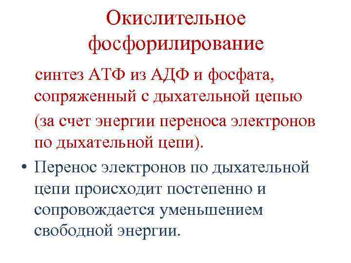 Окислительное фосфорилирование синтез АТФ из АДФ и фосфата, сопряженный с дыхательной цепью (за счет