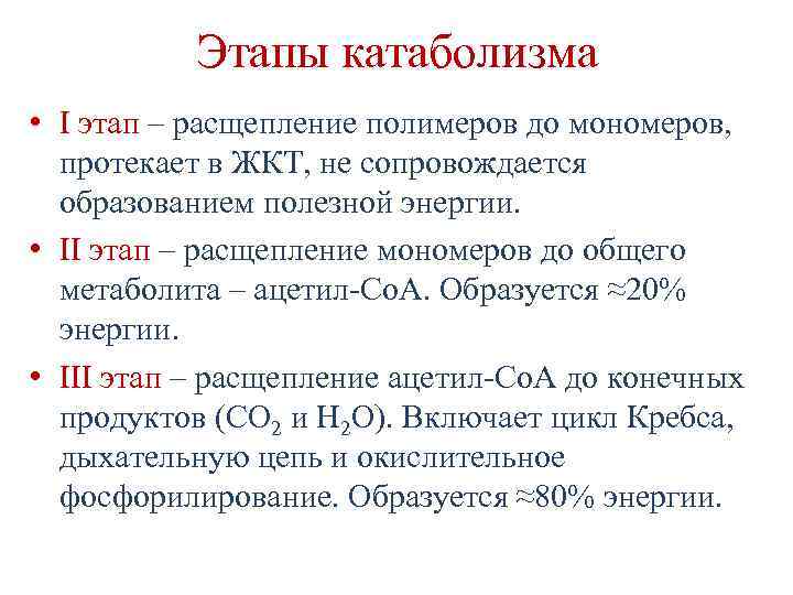 Установите последовательность энергетического обмена