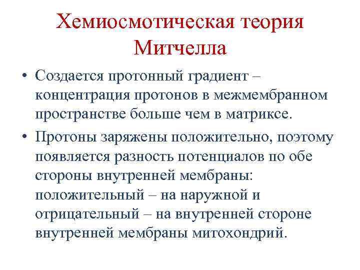 Хемиосмотическая теория Митчелла • Создается протонный градиент – концентрация протонов в межмембранном пространстве больше