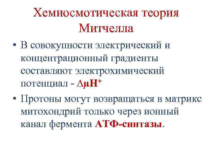 Хемиосмотическая теория Митчелла • В совокупности электрический и концентрационный градиенты составляют электрохимический потенциал -