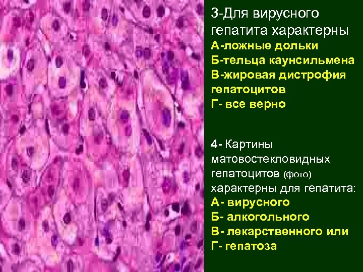 Гепатит б рисунок