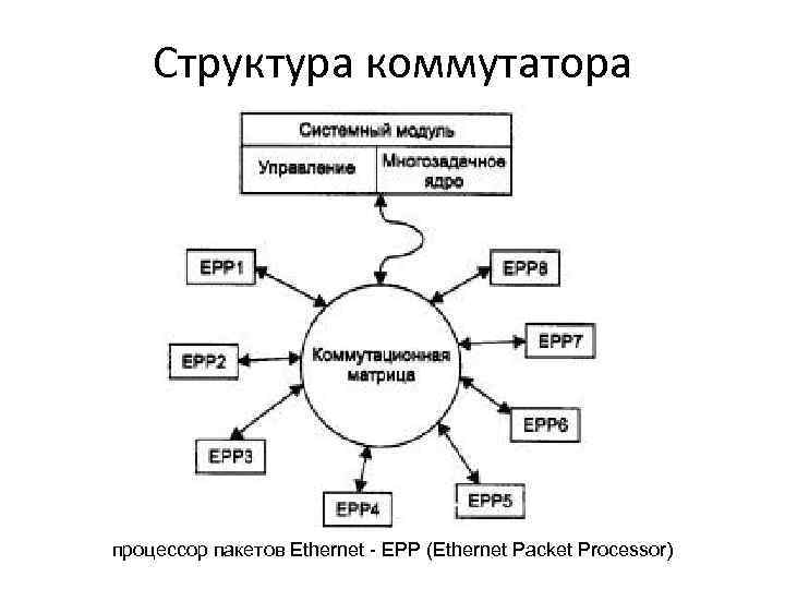 Структура коммутатора процессор пакетов Ethernet - ЕРР (Ethernet Packet Processor) 