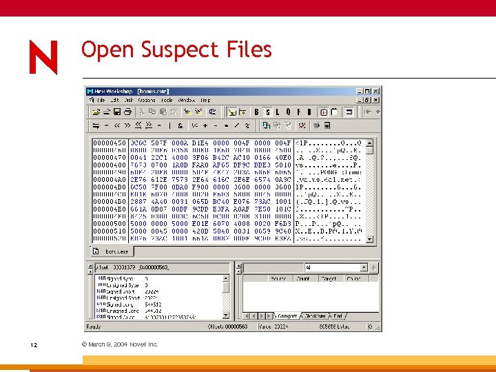 Open Suspect Files 12 © March 9, 2004 Novell Inc. 