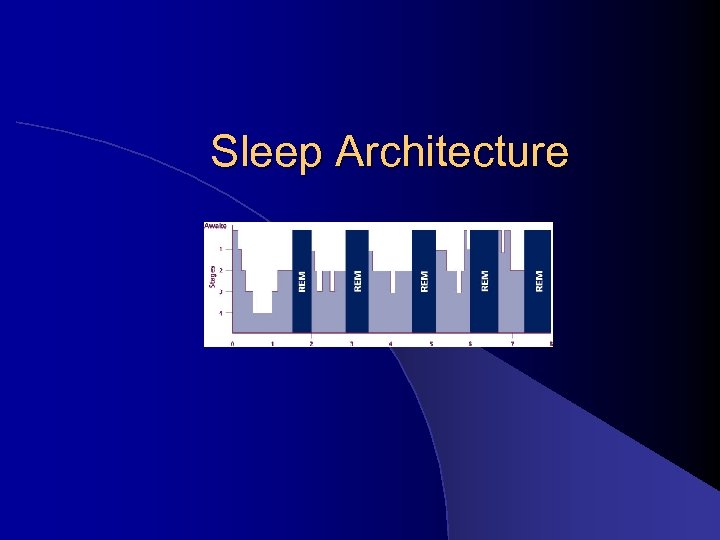 Sleep Architecture 