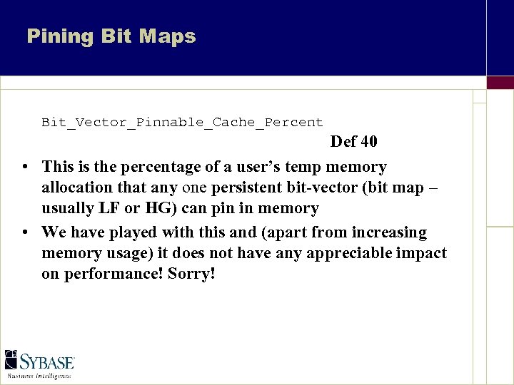 Pining Bit Maps Bit_Vector_Pinnable_Cache_Percent Def 40 • This is the percentage of a user’s