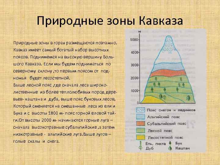 Природные зоны Кавказа Природные зоны в горах размещаются поэтажно. Кавказ имеет самый богатый набор