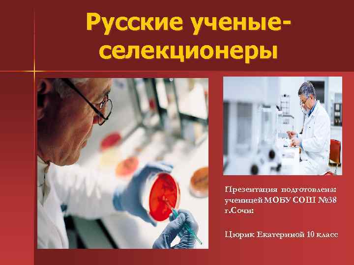 Русские ученыеселекционеры Презентация подготовлена: ученицей МОБУ СОШ № 38 г. Сочи: Цюрик Екатериной 10