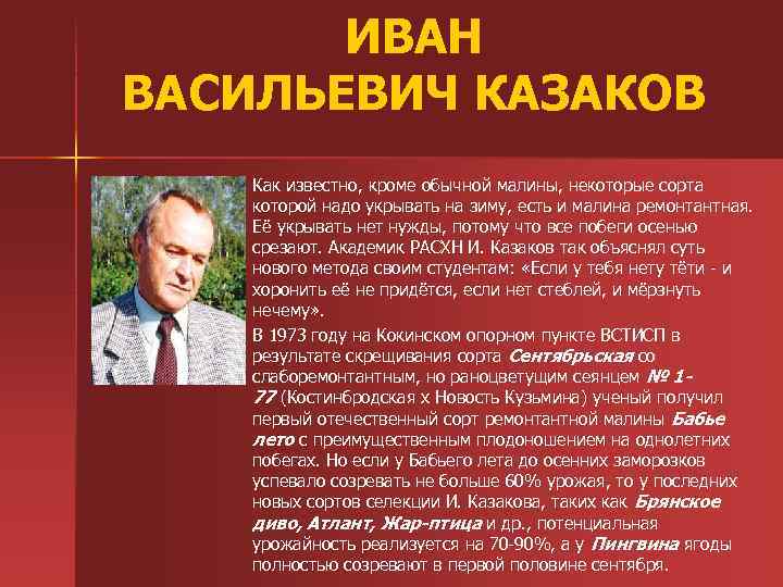 ИВАН ВАСИЛЬЕВИЧ КАЗАКОВ n n Как известно, кроме обычной малины, некоторые сорта которой надо