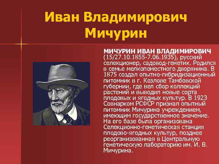 Иван Владимирович Мичурин МИЧУРИН ИВАН ВЛАДИМИРОВИЧ (15/27. 10. 1855 -7. 06. 1935), русский селекционер,
