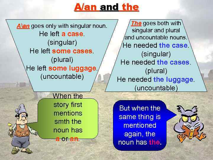 A/an and the Aan goes only with singular noun. He left a case. (singular)