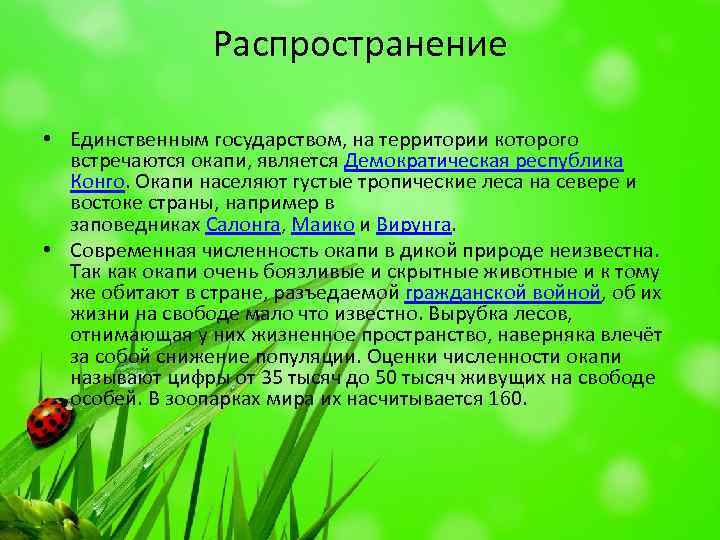Распространение • Единственным государством, на территории которого встречаются окапи, является Демократическая республика Конго. Окапи