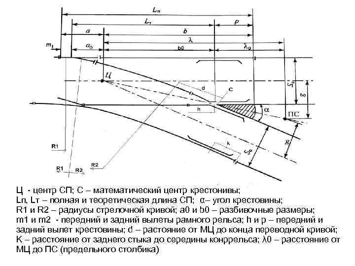 Ц - центр СП; С – математический центр крестонивы; Lп, Lт – полная и