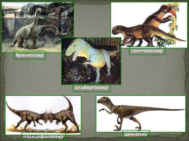 пситтакозавр брахиозавр альбертозавр пахицефалозавр дейноних 