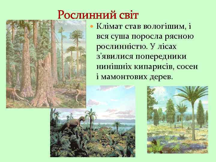 Рослинний світ Клімат став вологішим, і вся суша поросла рясною рослинністю. У лісах з'явилися