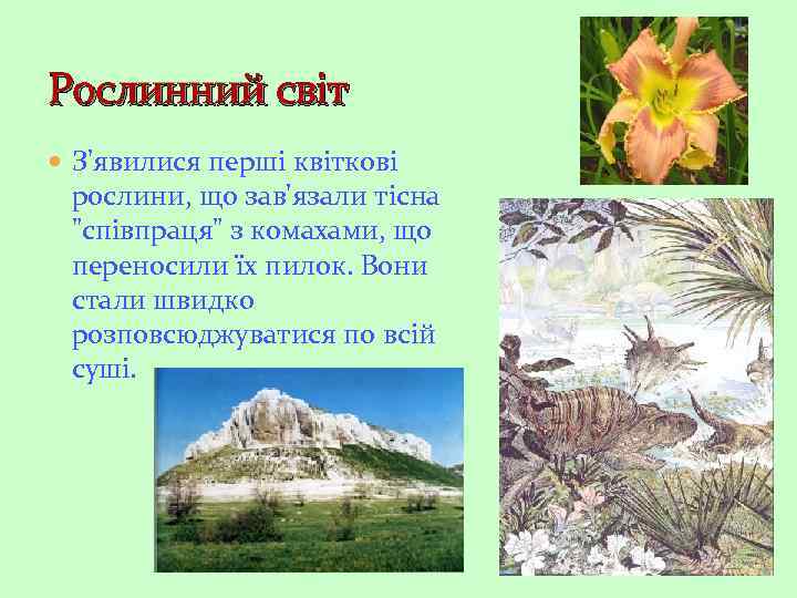 Рослинний світ З'явилися перші квіткові рослини, що зав'язали тісна 