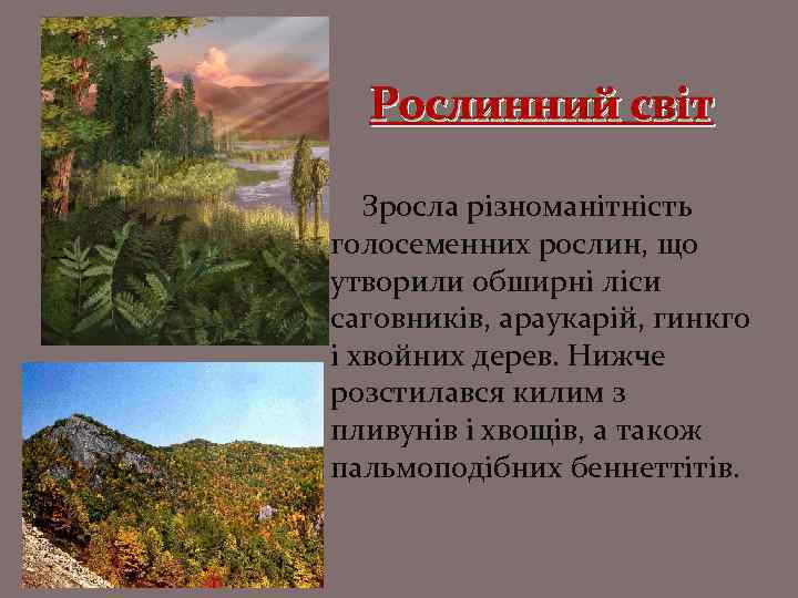 Рослинний світ Зросла різноманітність голосеменних рослин, що утворили обширні ліси саговників, араукарій, гинкго і