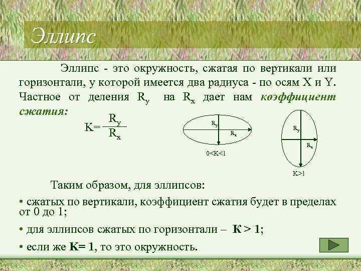 Сжатая окружность 6 букв