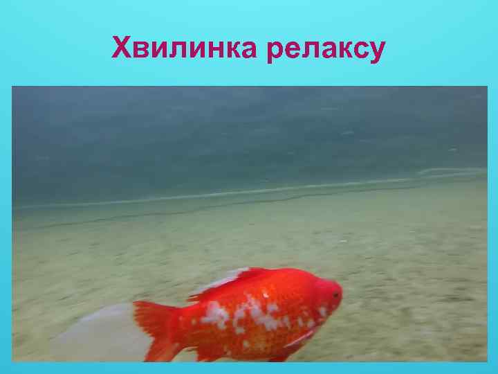 Хвилинка релаксу 