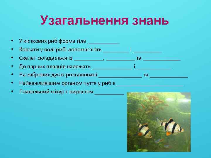 Узагальнення знань • • У кісткових риб форма тіла ______ Ковзати у воді рибі