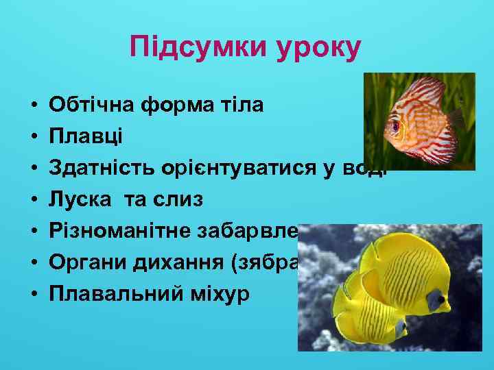 Підсумки уроку • • Обтічна форма тіла Плавці Здатність орієнтуватися у воді Луска та