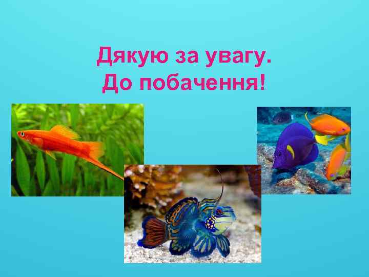 Дякую за увагу. До побачення! 