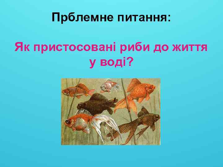 Прблемне питання: Як пристосовані риби до життя у воді? 
