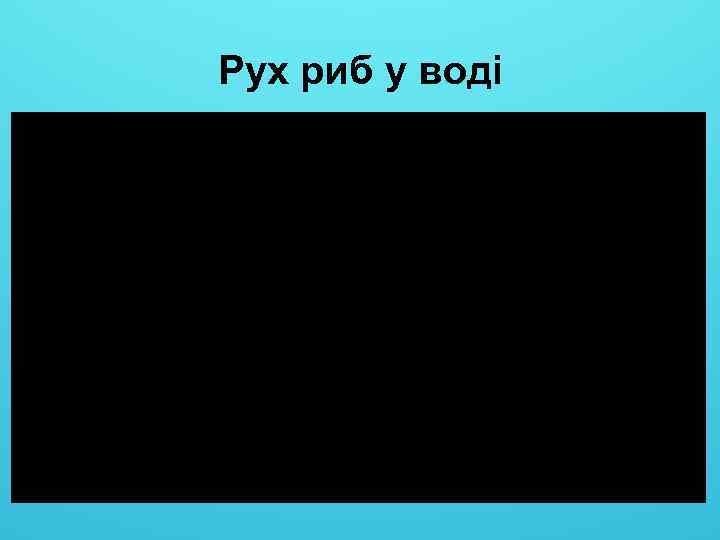Рух риб у воді 