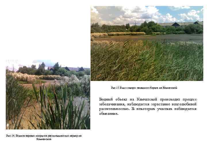 Рис 15 Вид с северо- западного берега на Камчатской Водный объект на Камчатской происходит