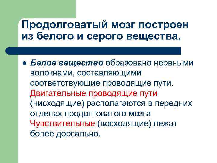 Продолговатый мозг построен из белого и серого вещества. l Белое вещество образовано нервными волокнами,