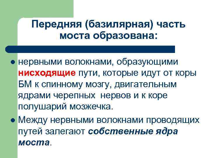 Передняя (базилярная) часть моста образована: нервными волокнами, образующими нисходящие пути, которые идут от коры
