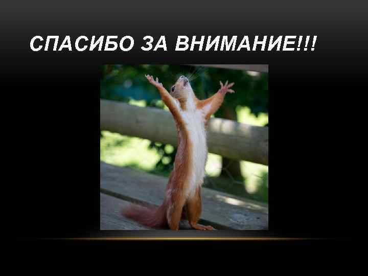 СПАСИБО ЗА ВНИМАНИЕ!!! 