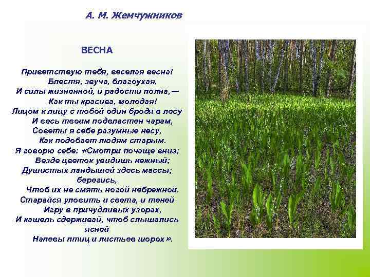 А. М. Жемчужников ВЕСНА Приветствую тебя, веселая весна! Блестя, звуча, благоухая, И силы жизненной,