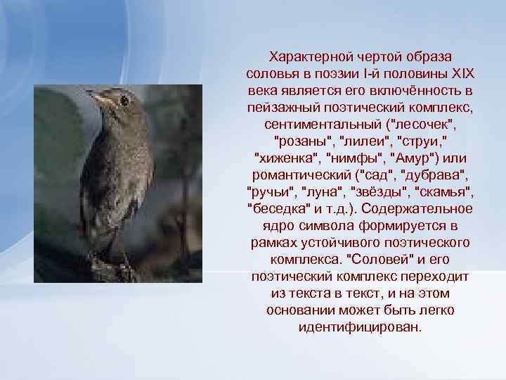 Характерной чертой образа соловья в поэзии I-й половины XIX века является его включённость в