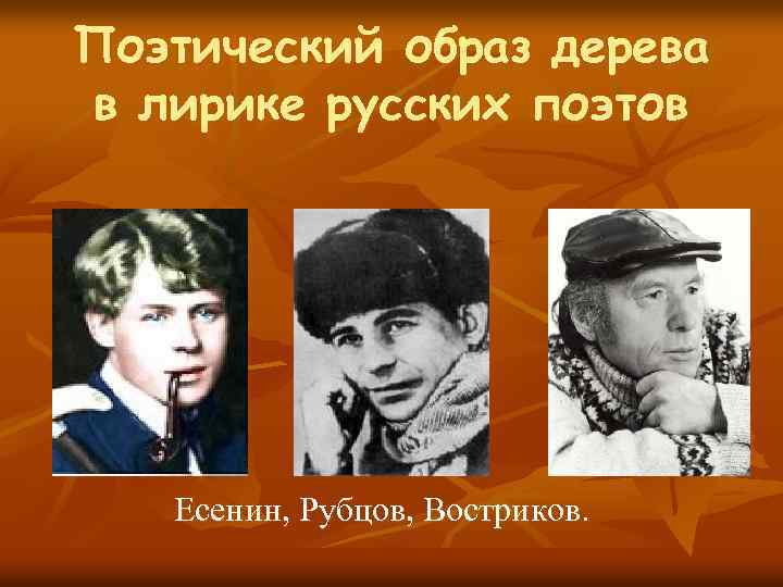 Поэтический образ дерева в лирике русских поэтов Есенин, Рубцов, Востриков. 