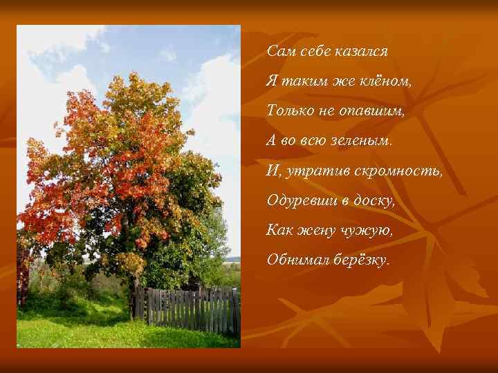 Сам себе казался Я таким же клёном, Только не опавшим, А во всю зеленым.