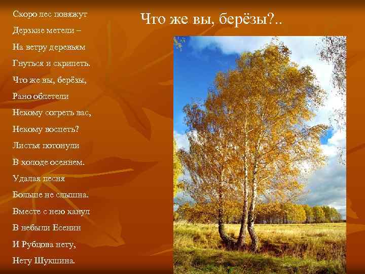 Скоро лес повяжут Дерзкие метели – На ветру деревьям Гнуться и скрипеть. Что же