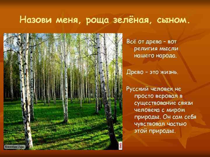 Назови меня, роща зелёная, сыном. Всё от древа – вот религия мысли нашего народа.