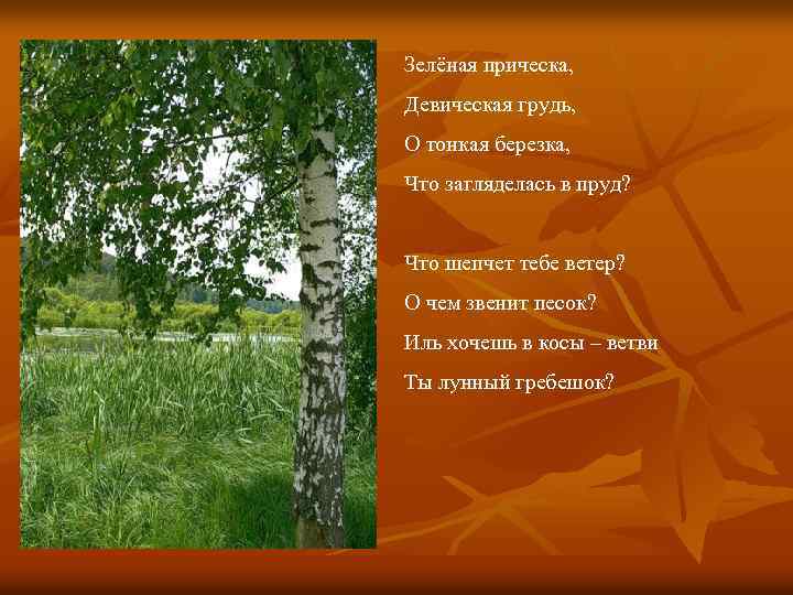 Зелёная прическа, Девическая грудь, О тонкая березка, Что загляделась в пруд? Что шепчет тебе