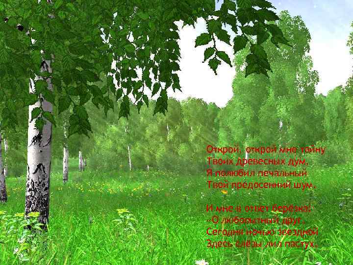 Открой, открой мне тайну Твоих древесных дум, Я полюбил печальный Твой предосенний шум. И
