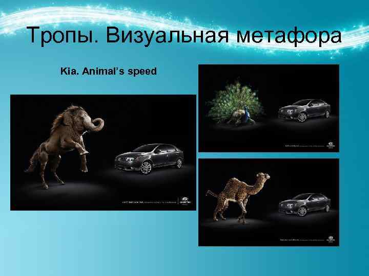 Тропы. Визуальная метафора Kia. Animal’s speed 