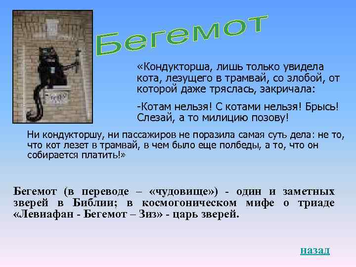  «Кондукторша, лишь только увидела кота, лезущего в трамвай, со злобой, от которой даже