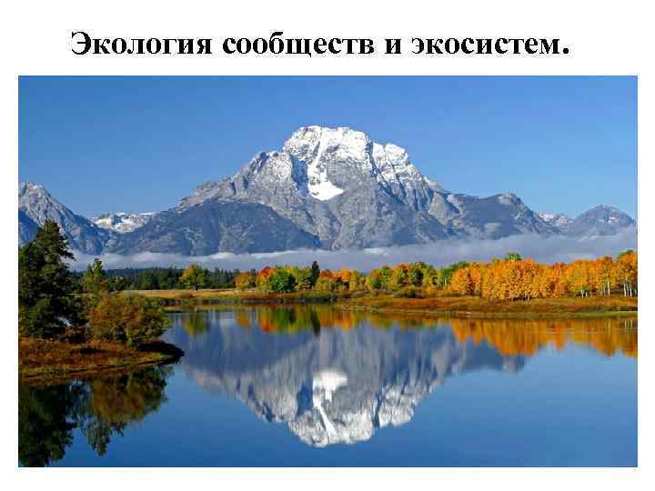 Экология сообществ и экосистем. 