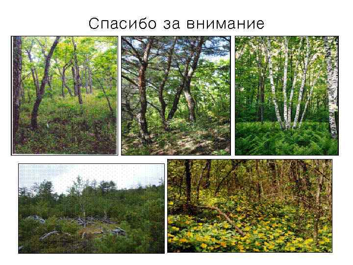 Спасибо за внимание 