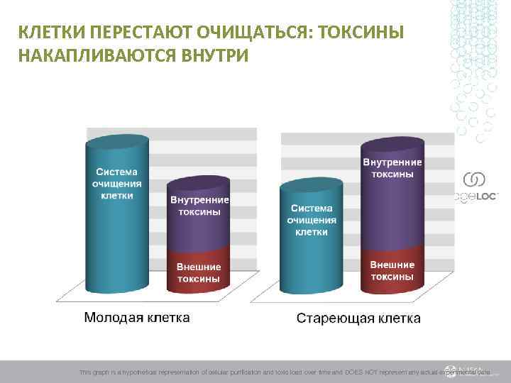 КЛЕТКИ ПЕРЕСТАЮТ ОЧИЩАТЬСЯ: ТОКСИНЫ НАКАПЛИВАЮТСЯ ВНУТРИ This graph is a hypothetical representation of cellular