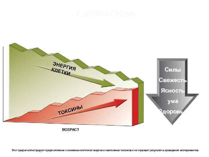 С ВОЗРАСТОМ: ЭНЕ Р КЛЕТ ГИЯ КИ Силы Свежесть Ясность ума НЫ И ОКС
