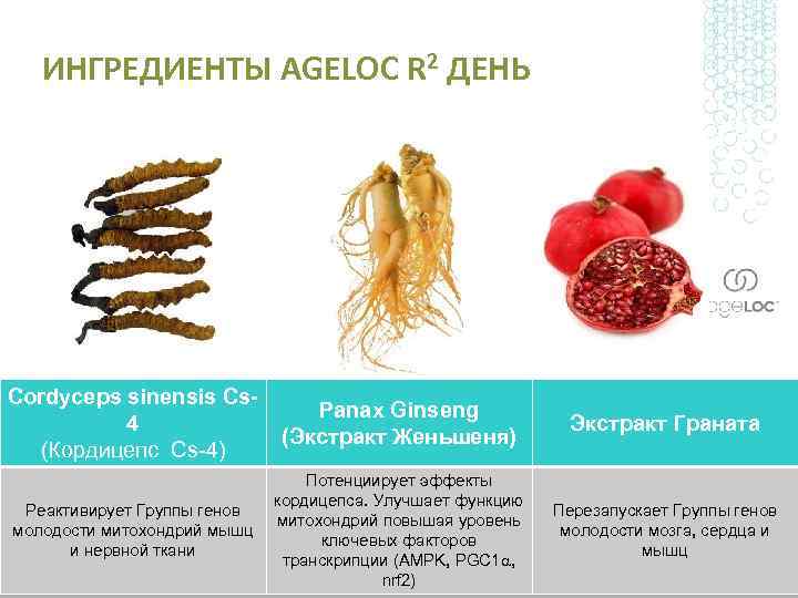 ИНГРЕДИЕНТЫ AGELOC R 2 ДЕНЬ Cordyceps sinensis Cs 4 (Кордицепс Сs-4) Panax Ginseng (Экстракт