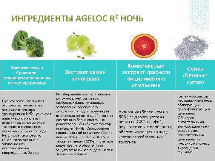 ИНГРЕДИЕНТЫ AGELOC R 2 НОЧЬ Экстракт семян броколли, стандартизированный по сульфорафану Сульфорафан повышает экспрессию