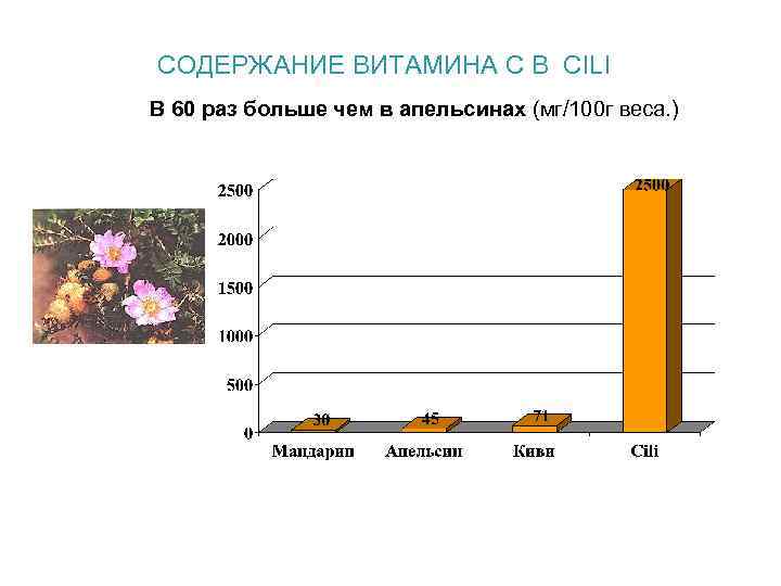 СОДЕРЖАНИЕ ВИТАМИНА С В CILI В 60 раз больше чем в апельсинах (мг/100 г